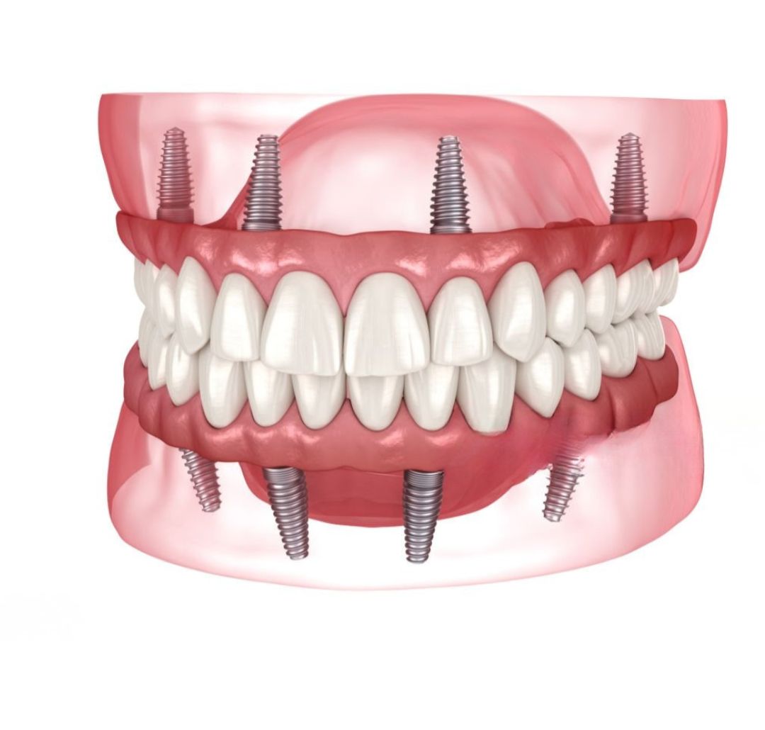 WhatsApp Image 2026 02 25 at 12.02.11 AM